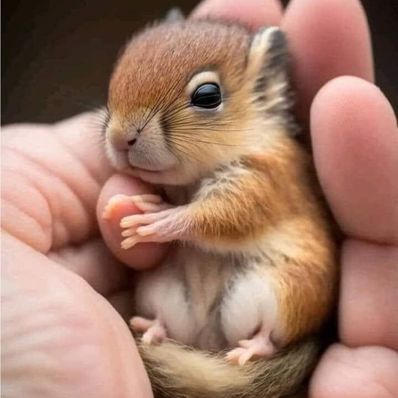 Meet your Posher, Erica - Picture 7 of 15